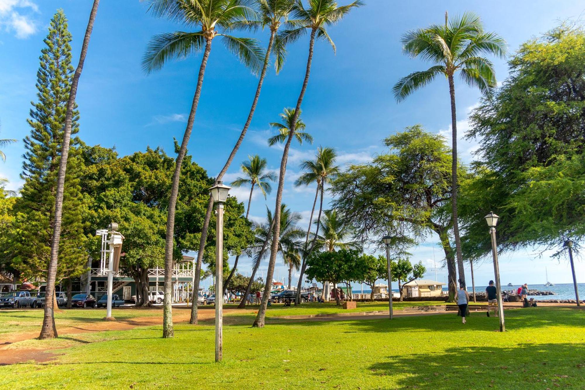 Paki Maui 222 Apartment Napili-Honokowai ห้อง รูปภาพ